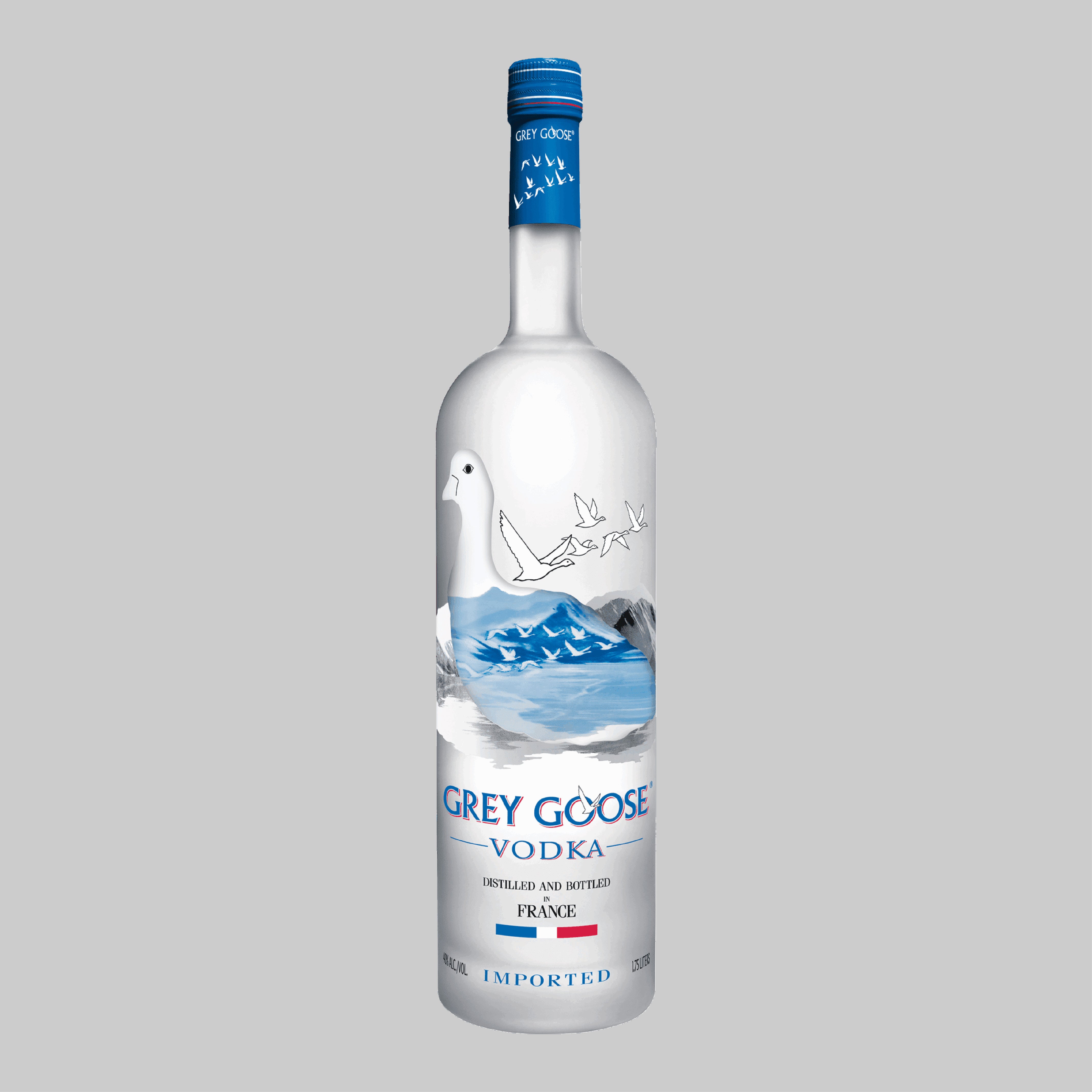 Grey Goose Vodka 6000ml 40.0% | TIME2DRINK